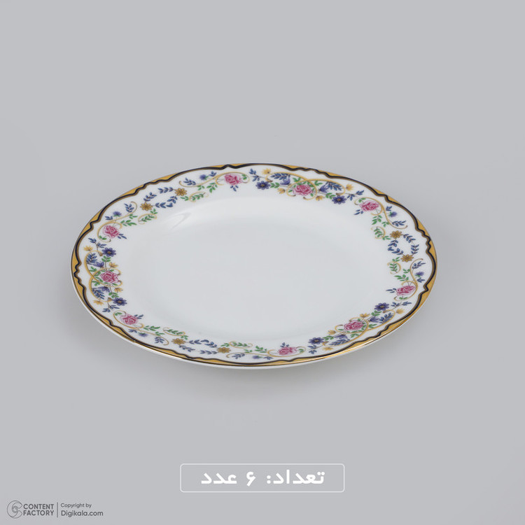 سرویس غذا خوری 28 پارچه چینی زرین ایران سری ایتالیا اف مدل Golestan 2 درجه عالی
