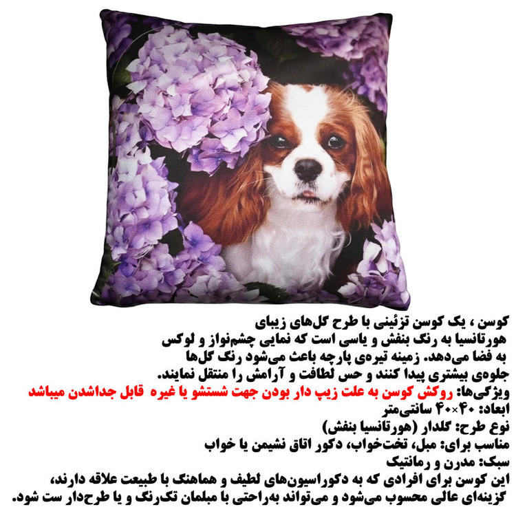 کوسن ایسیمو هوم مدل KUPAK01 سایز 40X40 سانتی متر مجموعه 2 عددی